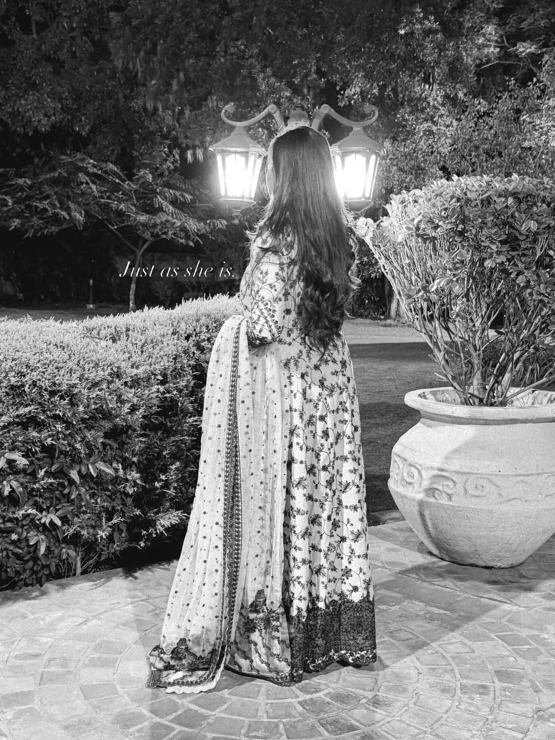 Bold Jasmine